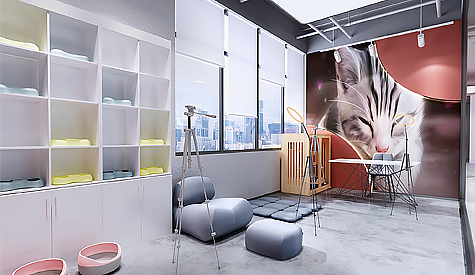 廣州市纖芊寵物用品裝修設(shè)計